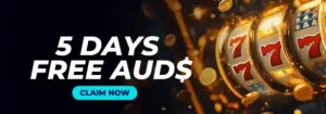 AUD