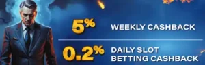 5%