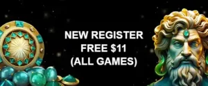 $11